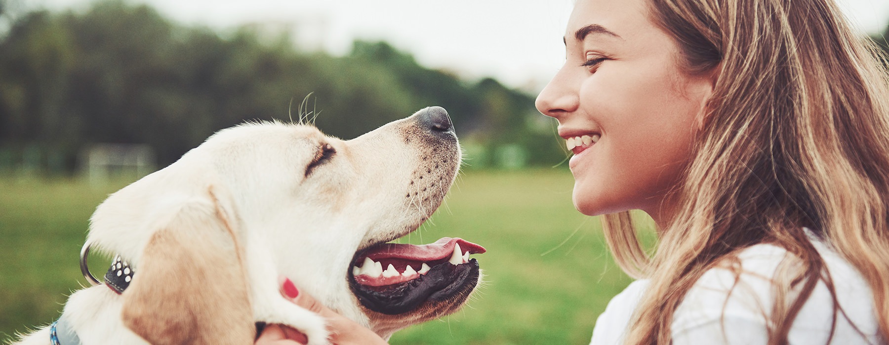 Pet-Friendly at The Pointe at Concord